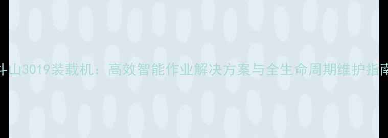 斗山3019装载机高效智能作业解决方案与全生命周期维护指南
