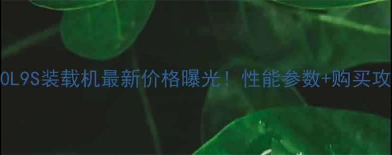 图片 斗山50L9S装载机最新价格曝光！性能参数+购买攻略全1