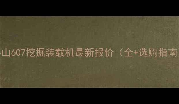 图片 斗山607挖掘装载机最新报价（全+选购指南）