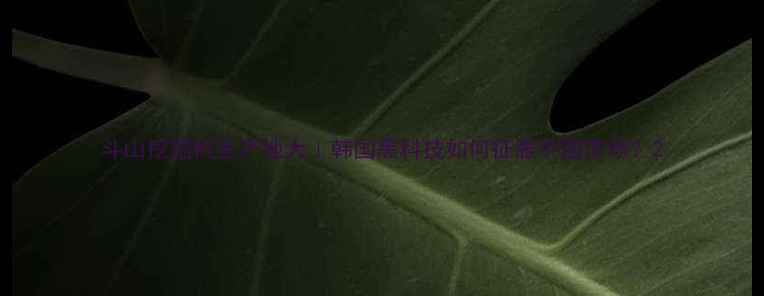 图片 斗山挖掘机生产地大｜韩国黑科技如何征服中国市场？2