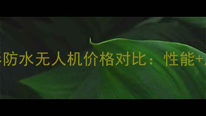 图片 斯威普全地形防水无人机价格对比：性能+用户真实测评