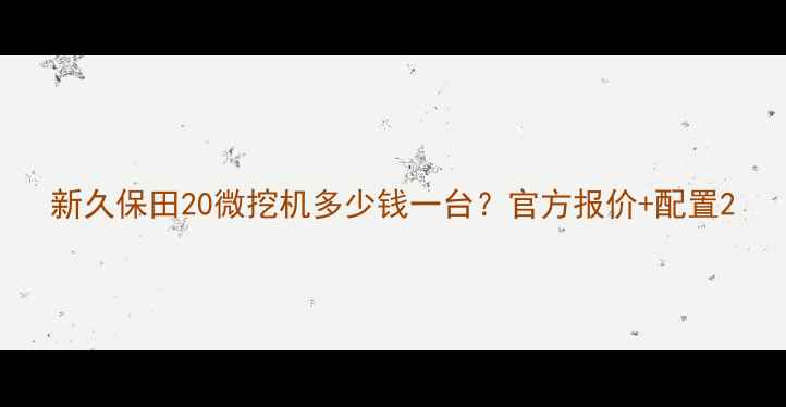 新久保田20微挖机多少钱一台官方报价配置
