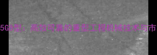 图片 新源挖掘机65G8型：高效可靠的重型工程机械技术与市场应用指南1