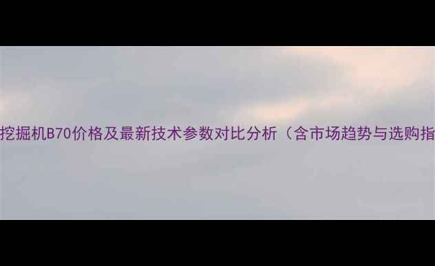 图片 新源挖掘机B70价格及最新技术参数对比分析（含市场趋势与选购指南）