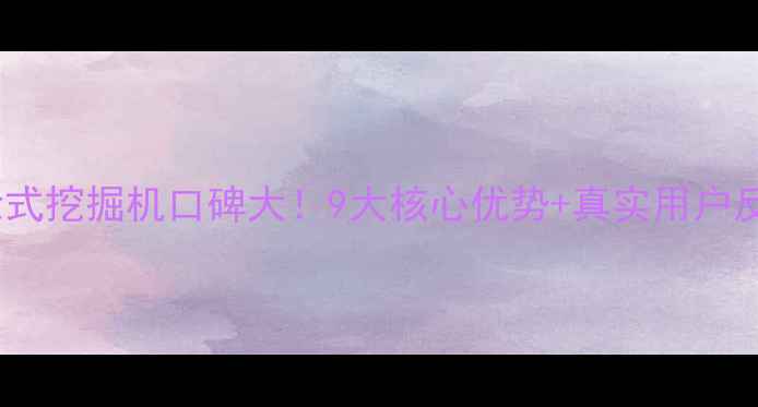 图片 新源轮式挖掘机口碑大！9大核心优势+真实用户反馈全1