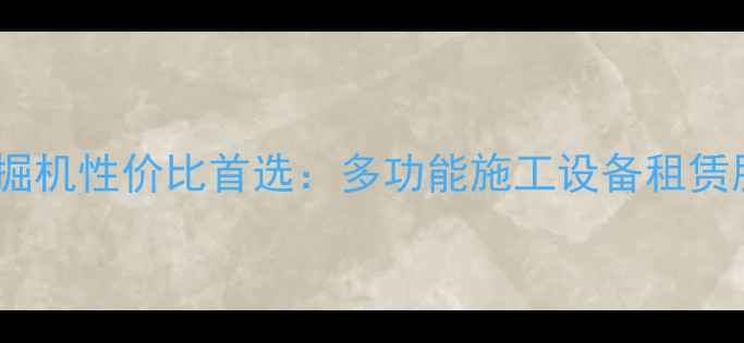 新田得力小型挖掘机性价比首选多功能施工设备租赁服务与选购指南