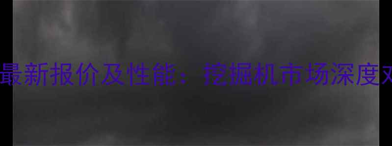 新龙工挖机225最新报价及性能挖掘机市场深度对比与选购指南