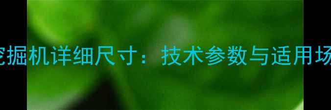 图片 日立300挖掘机详细尺寸：技术参数与适用场景全指南