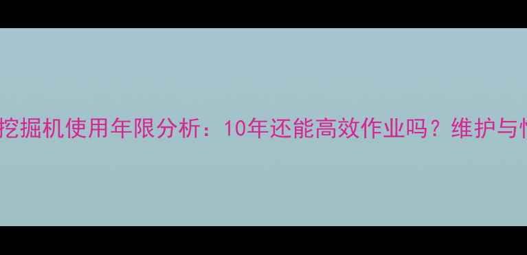 日立U3挖掘机使用年限分析10年还能高效作业吗维护与性能全