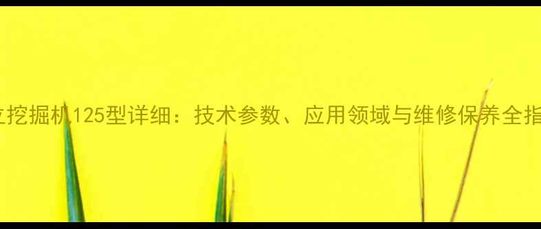 图片 日立挖掘机125型详细：技术参数、应用领域与维修保养全指南2