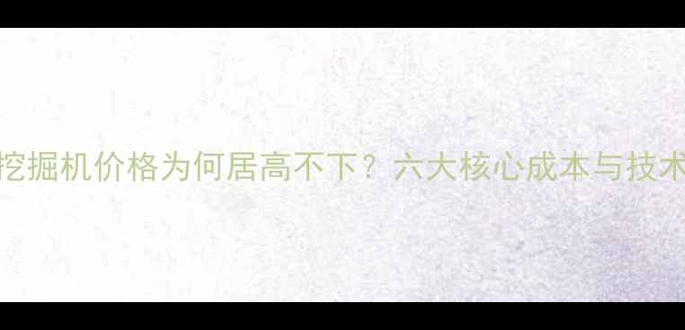 日立挖掘机价格为何居高不下六大核心成本与技术优势