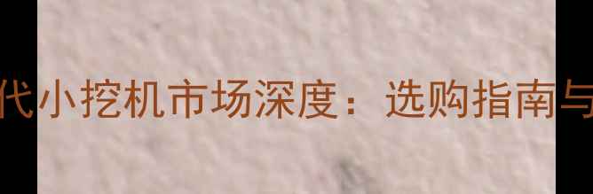 昆明二手现代小挖机市场深度选购指南与价格全攻略