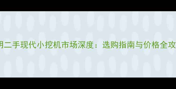 图片 昆明二手现代小挖机市场深度：选购指南与价格全攻略1