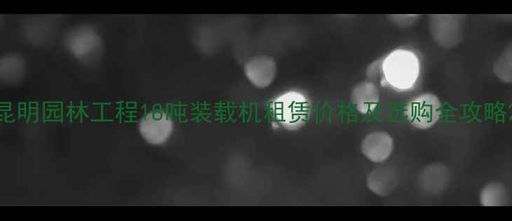 图片 昆明园林工程18吨装载机租赁价格及选购全攻略2