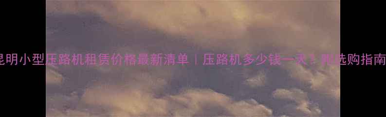 图片 昆明小型压路机租赁价格最新清单｜压路机多少钱一天？附选购指南1