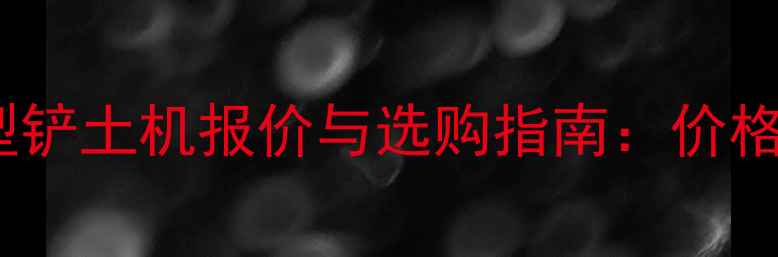 图片 最新大型铲土机报价与选购指南：价格因素全2