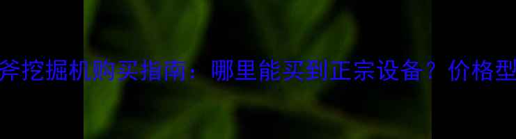 图片 最新开山斧挖掘机购买指南：哪里能买到正宗设备？价格型号品牌全