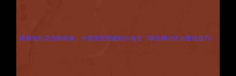 图片 最新报价及选购指南：大型液压挖掘机价格全（附品牌对比与避坑技巧）