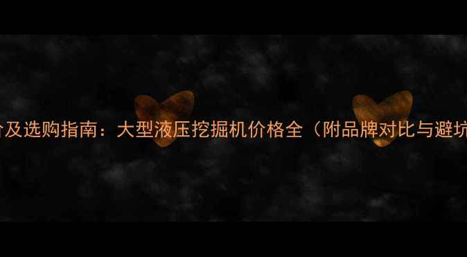 最新报价及选购指南大型液压挖掘机价格全附品牌对比与避坑技巧
