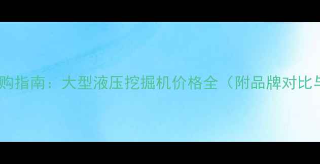 图片 最新报价及选购指南：大型液压挖掘机价格全（附品牌对比与避坑技巧）2