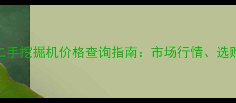 最新报价沃尔沃二手挖掘机价格查询指南市场行情选购技巧与保养秘籍