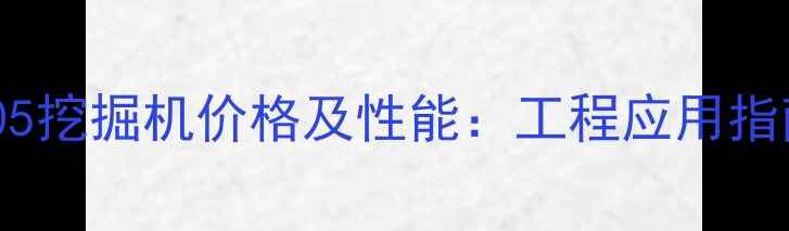 最新款柳工905挖掘机价格及性能工程应用指南与限时优惠