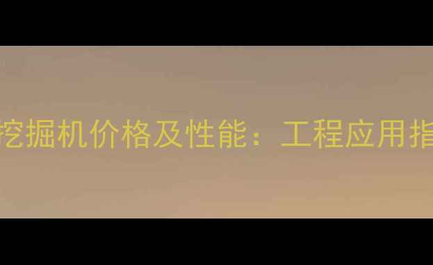 图片 最新款柳工905挖掘机价格及性能：工程应用指南与限时优惠2