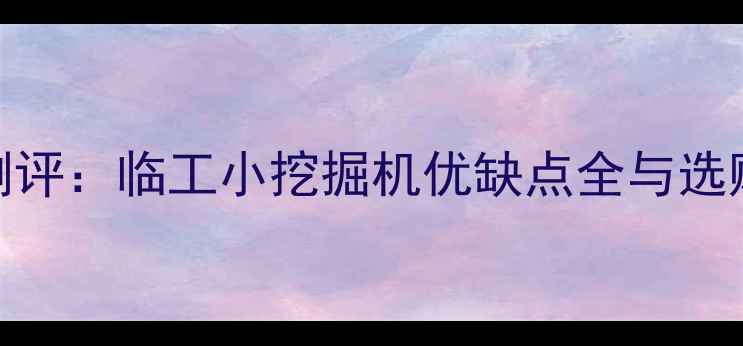 图片 最新测评：临工小挖掘机优缺点全与选购指南