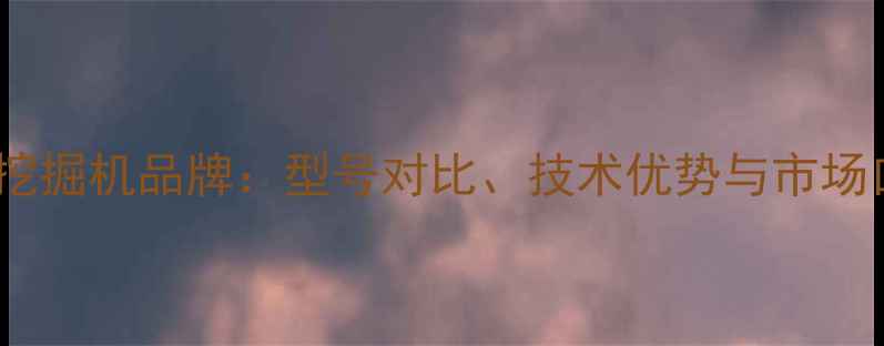 图片 李希德挖掘机品牌：型号对比、技术优势与市场口碑全1