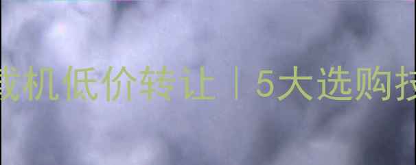 图片 柳州二手小型装载机低价转让｜5大选购技巧+市场行情全1