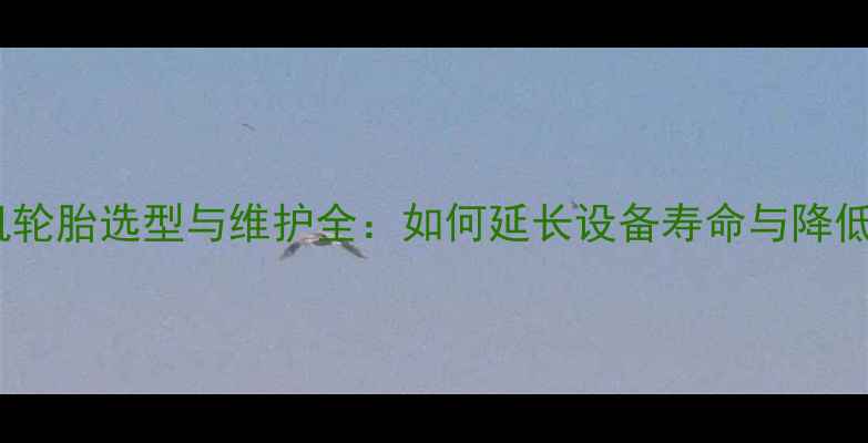 图片 步履式挖掘机轮胎选型与维护全：如何延长设备寿命与降低运营成本？2