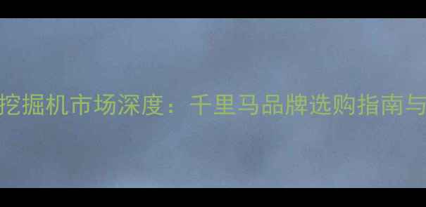 武汉二手挖掘机市场深度千里马品牌选购指南与行业趋势