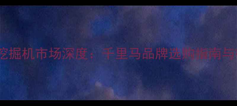 图片 武汉二手挖掘机市场深度：千里马品牌选购指南与行业趋势1