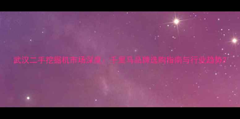 图片 武汉二手挖掘机市场深度：千里马品牌选购指南与行业趋势2