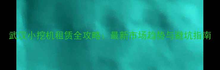 武汉小挖机租赁全攻略最新市场趋势与避坑指南