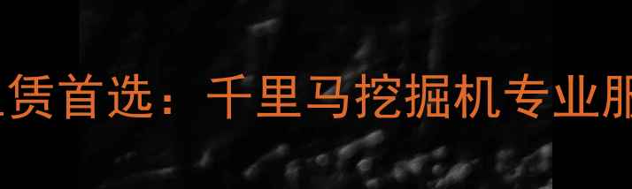 图片 武汉工程机械租赁首选：千里马挖掘机专业服务与设备详解1