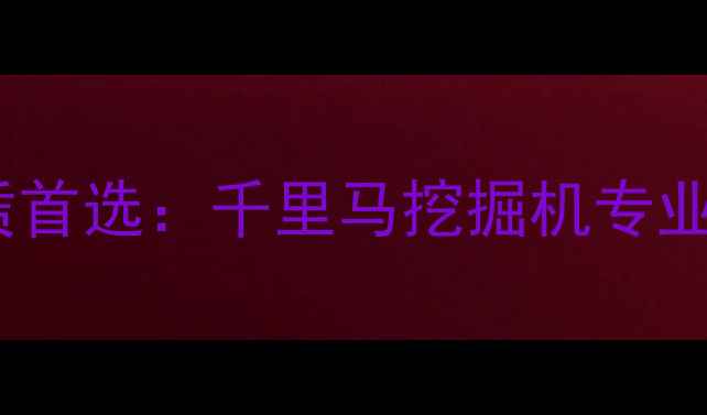 图片 武汉工程机械租赁首选：千里马挖掘机专业服务与设备详解2