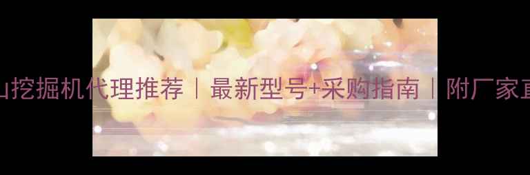 图片 武汉斗山挖掘机代理推荐｜最新型号+采购指南｜附厂家直供优惠