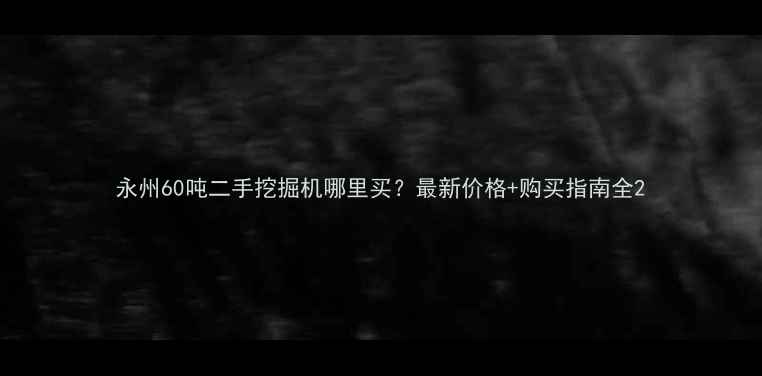 永州60吨二手挖掘机哪里买最新价格购买指南全