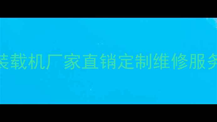 图片 江苏专业滑移装载机厂家直销定制维修服务-24小时响应1