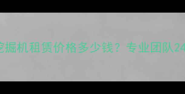 图片 江苏淮安中型挖掘机租赁价格多少钱？专业团队24小时服务指南2