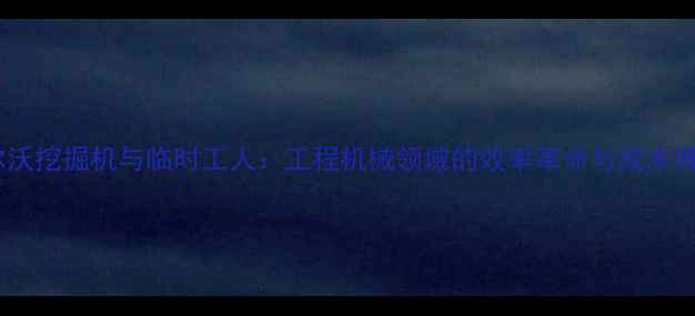 图片 沃尔沃挖掘机与临时工人：工程机械领域的效率革命与成本博弈2