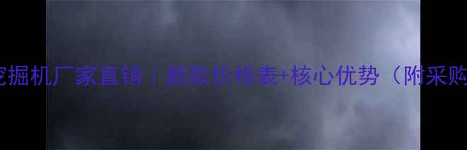 沃尔沃挖掘机厂家直销新款价格表核心优势附采购指南