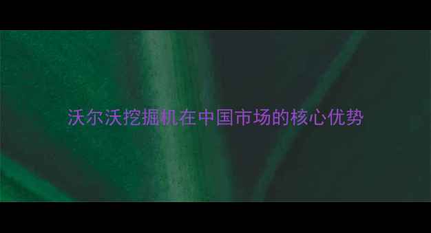 沃尔沃挖掘机在中国市场的核心优势