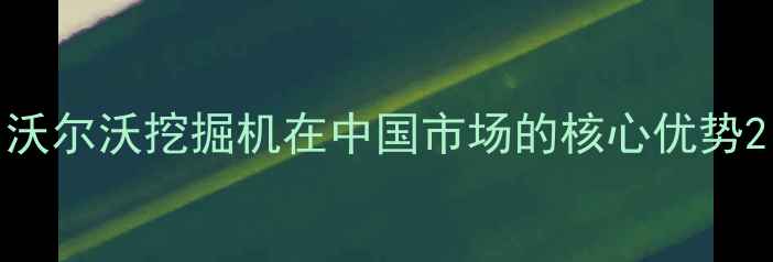 图片 沃尔沃挖掘机在中国市场的核心优势2