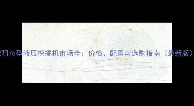 图片 沈阳75型液压挖掘机市场全：价格、配置与选购指南（最新版）2