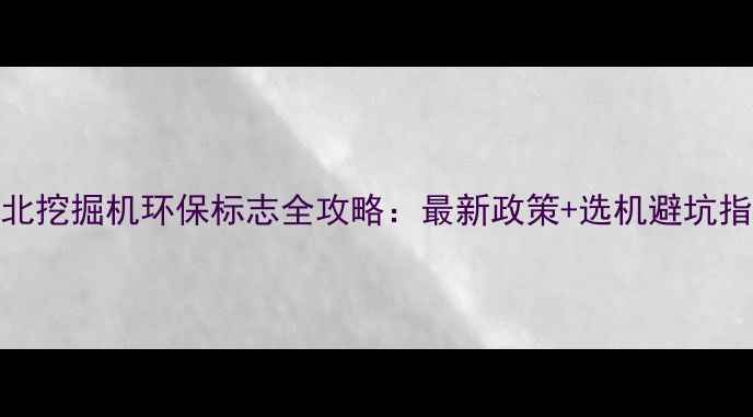 河北挖掘机环保标志全攻略最新政策选机避坑指南