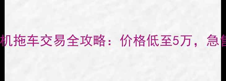 图片 河源市二手挖掘机拖车交易全攻略：价格低至5万，急售可上门评估！1