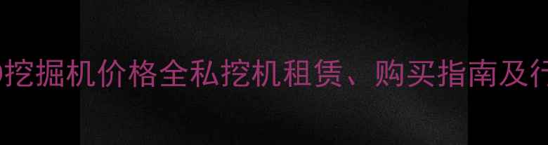 泉州320D挖掘机价格全私挖机租赁购买指南及行业趋势