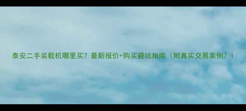 泰安二手装载机哪里买最新报价购买避坑指南附真实交易案例